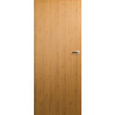 Dveře a zárubně - Vasco Doors Interiérové dveře REGO plné bezfalcové, deskové