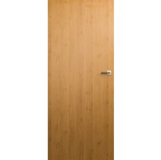 Vasco Doors Interiérové dveře REGO plné bezfalcové, deskové